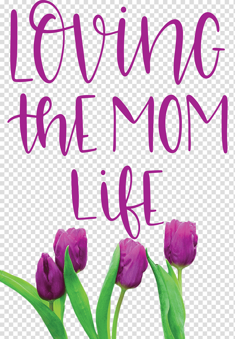 Mothers Day Mothers Day Quote Loving The Mom Life, Floral Design, Herbaceous Plant, Plant Stem, Cut Flowers, Tulip, Petal transparent background PNG clipart