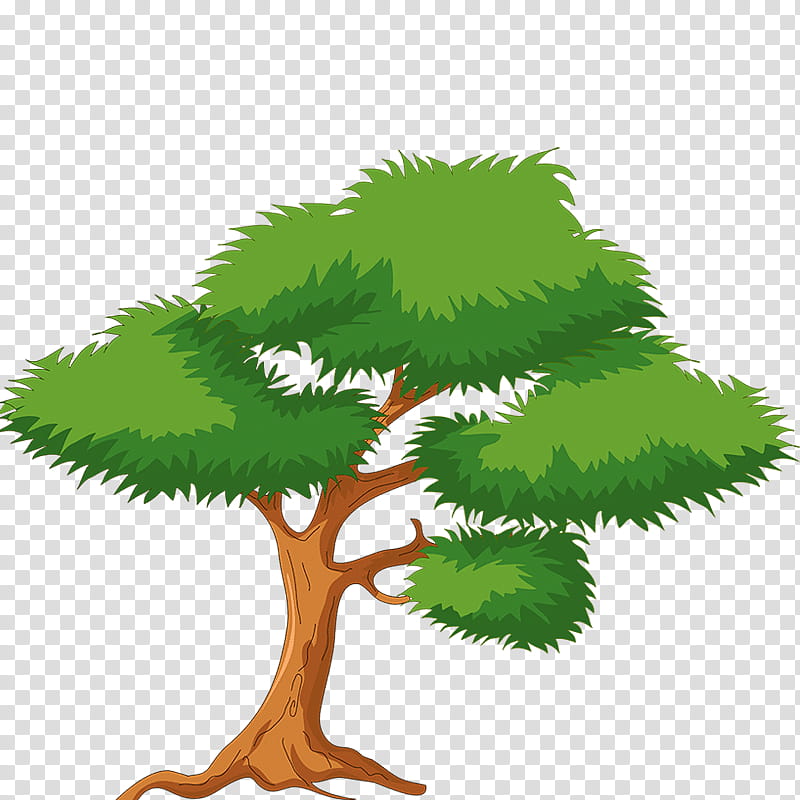 Arbor day, Tree, Nature, Leaf, Green, Plant, Houseplant, Woody Plant transparent background PNG clipart