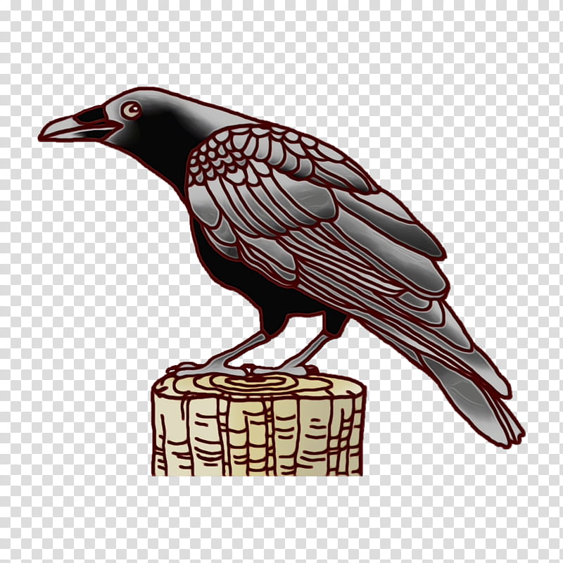 Feather, Watercolor, Paint, Wet Ink, Beak, Crow transparent background PNG clipart