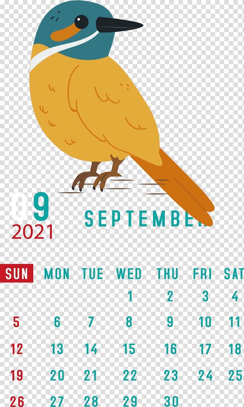 September 2021 Printable Calendar September 2021 Calendar, Birds, Beak, Meter, Line, Samsung, Samsung Electronics transparent background PNG clipart