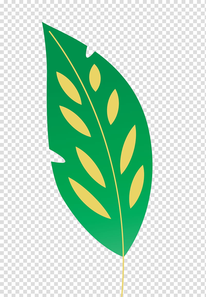 leaf green line meter plants, Leaf Cartoon, Leaf , Leaf Abstract, Plant Structure, Science, Biology transparent background PNG clipart