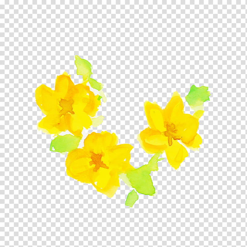 yellow flower plant petal wildflower, Watercolor Flower, Wood Sorrel Family, Herbaceous Plant transparent background PNG clipart