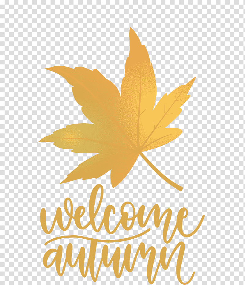 Welcome Autumn Autumn, Leaf, Maple Leaf, Logo, Tree, Meter, Flower transparent background PNG clipart