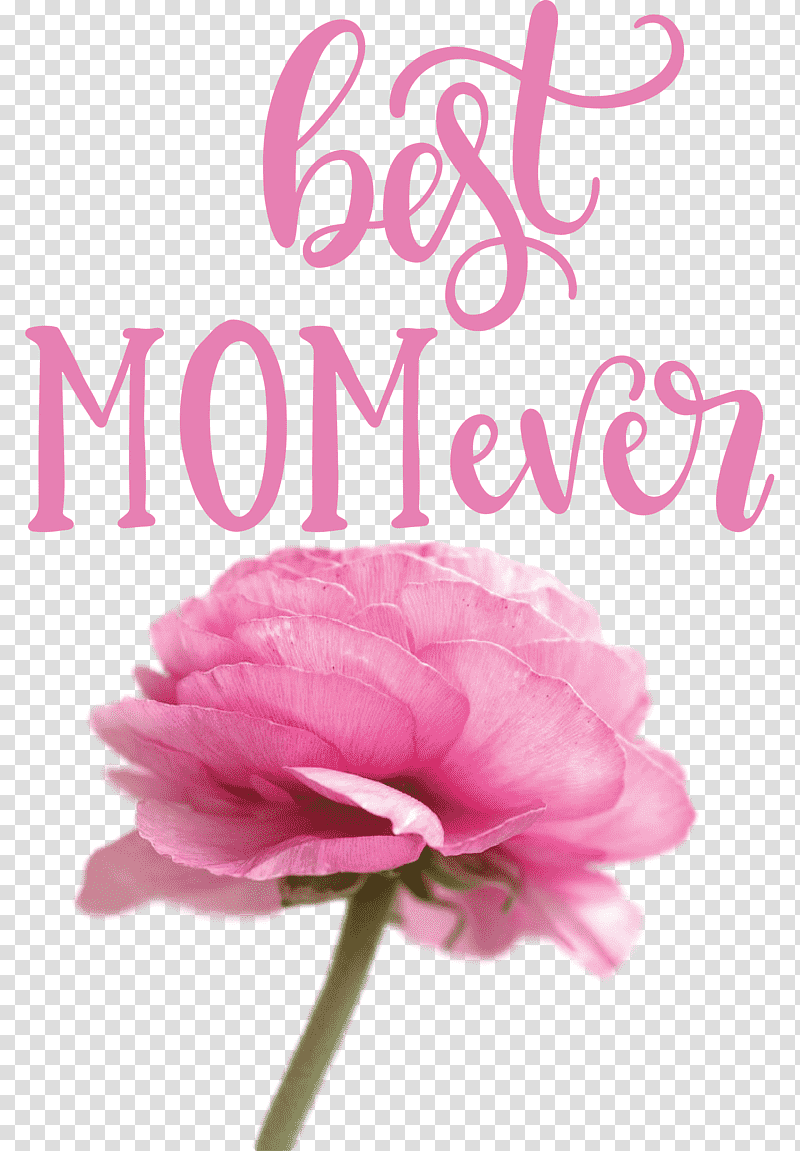 Mothers Day best mom ever Mothers Day Quote, Sticker, Floral Design, Flower, Gift, Cut Flowers, Cricut transparent background PNG clipart