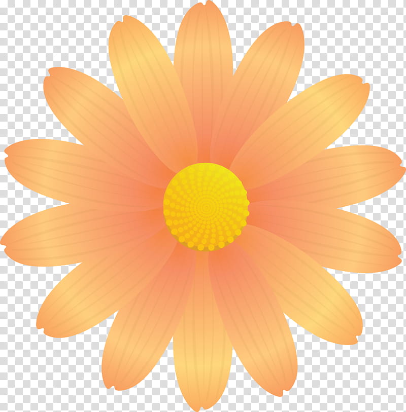 marguerite flower spring flower, Petal, Orange, Yellow, Gerbera, English Marigold, Plant, Barberton Daisy transparent background PNG clipart