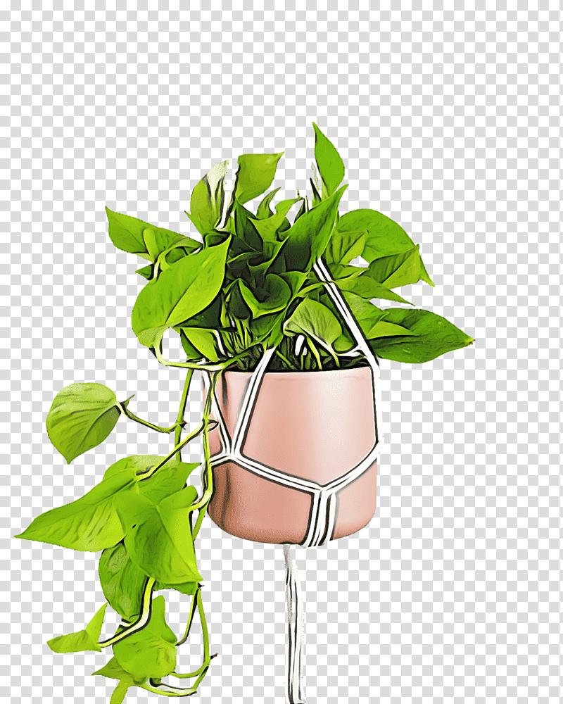 leaf plant stem herbal medicine flower herb, Hay Flowerpot With Saucer, Plants, Science, Plant Structure, Biology transparent background PNG clipart