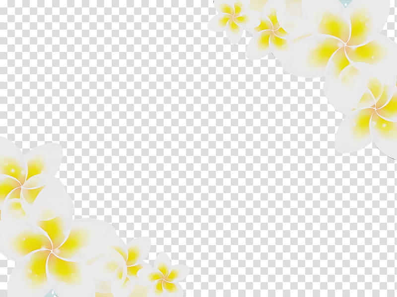 moth orchids yellow orchids, Watercolor, Paint, Wet Ink transparent background PNG clipart