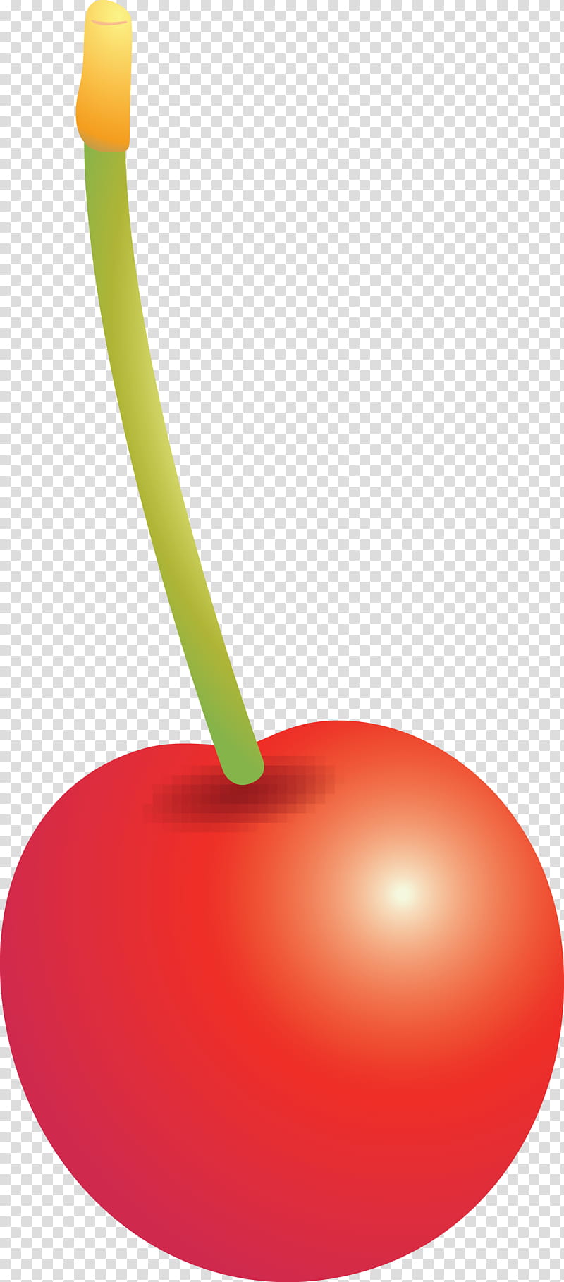 cherry, Fruit, Plant, Drupe transparent background PNG clipart