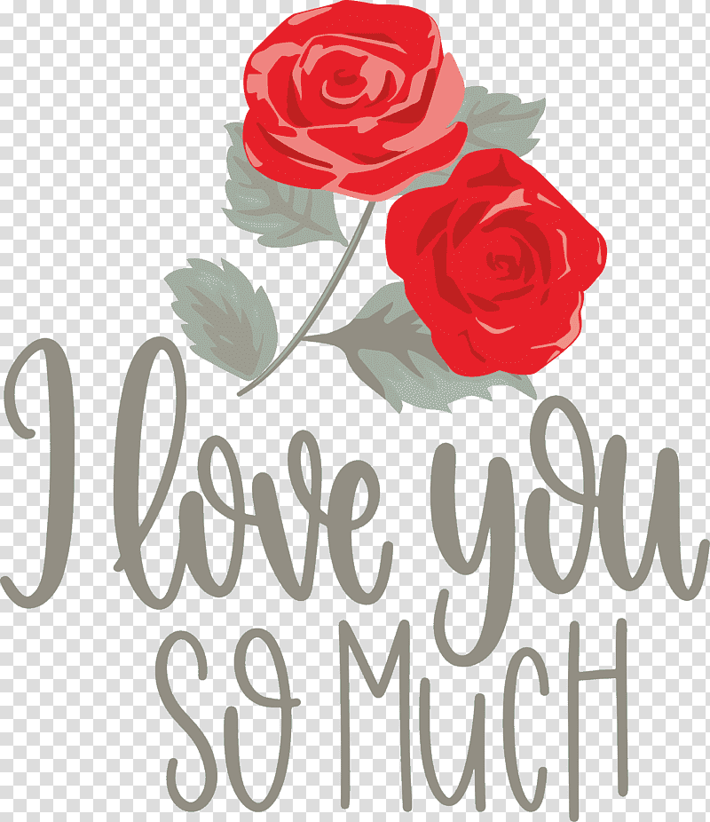 I Love You So Much Valentines Day Love, Floral Design, Garden Roses, Cut Flowers, Petal, Rose Family, Text transparent background PNG clipart