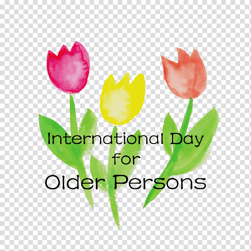 plant stem tulip lilies petal meter, International Day For Older Persons, Watercolor, Paint, Wet Ink, Flower, Lily transparent background PNG clipart