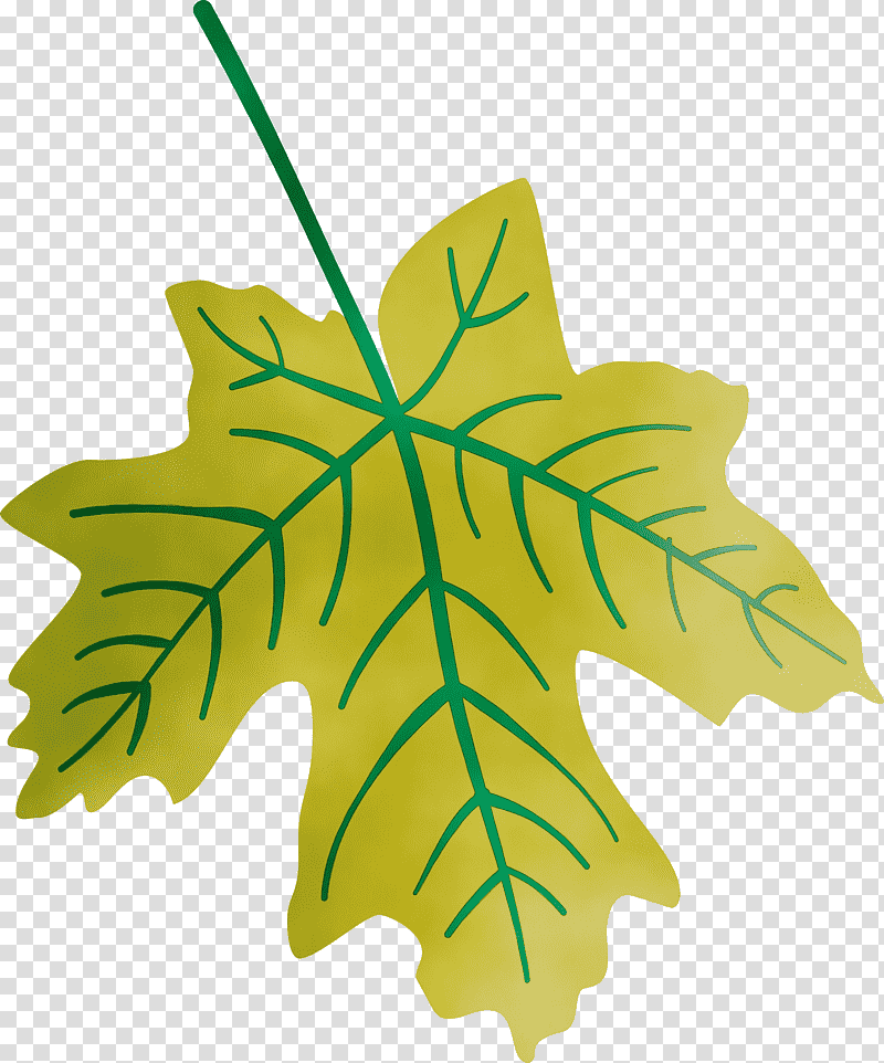 Maple leaf, Autumn Leaf, Colourful Foliage, Colorful Leaves, COLORFUL LEAF, Watercolor, Paint transparent background PNG clipart