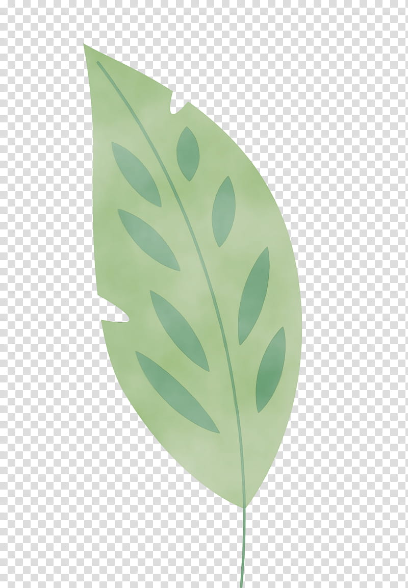 leaf plant stem green plants biology, Leaf Cartoon, Leaf , Leaf Abstract, Watercolor, Paint, Wet Ink, Plant Structure transparent background PNG clipart