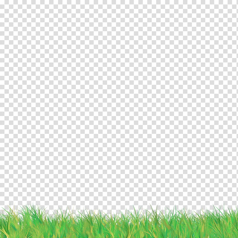green grass grassland lawn natural environment, Grass Family, Meadow, Plant, Field, Artificial Turf, Pasture, Prairie transparent background PNG clipart