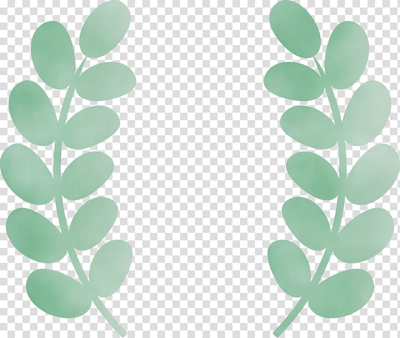 leaf plant identification green meter plants, Wheat Ears, Watercolor, Paint, Wet Ink, Science, Biology, Plant Structure transparent background PNG clipart