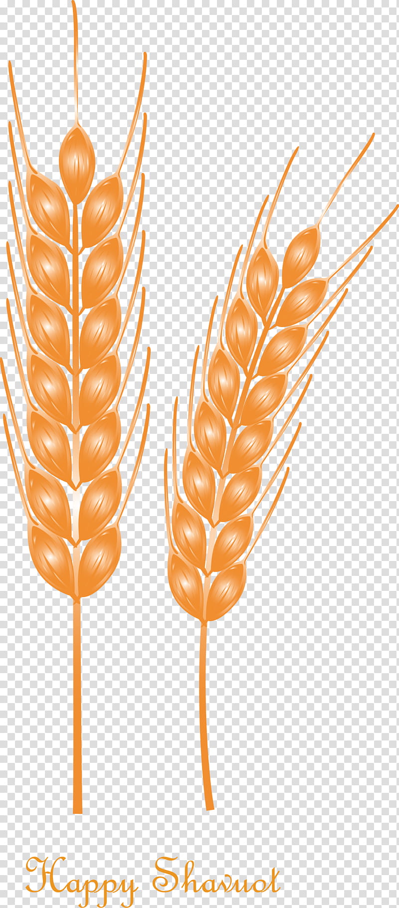 Happy Shavuot Shavuot Shovuos, Stick Candy, Food Grain, Grass Family, Wheat, Plant transparent background PNG clipart
