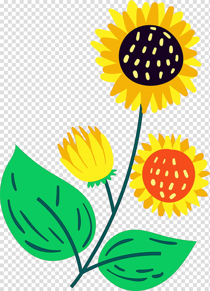 brazil elements brazil culture, Common Sunflower, Sunflower Seed, Plant Stem, Petal, Chrysanthemum, Cut Flowers, Leaf transparent background PNG clipart