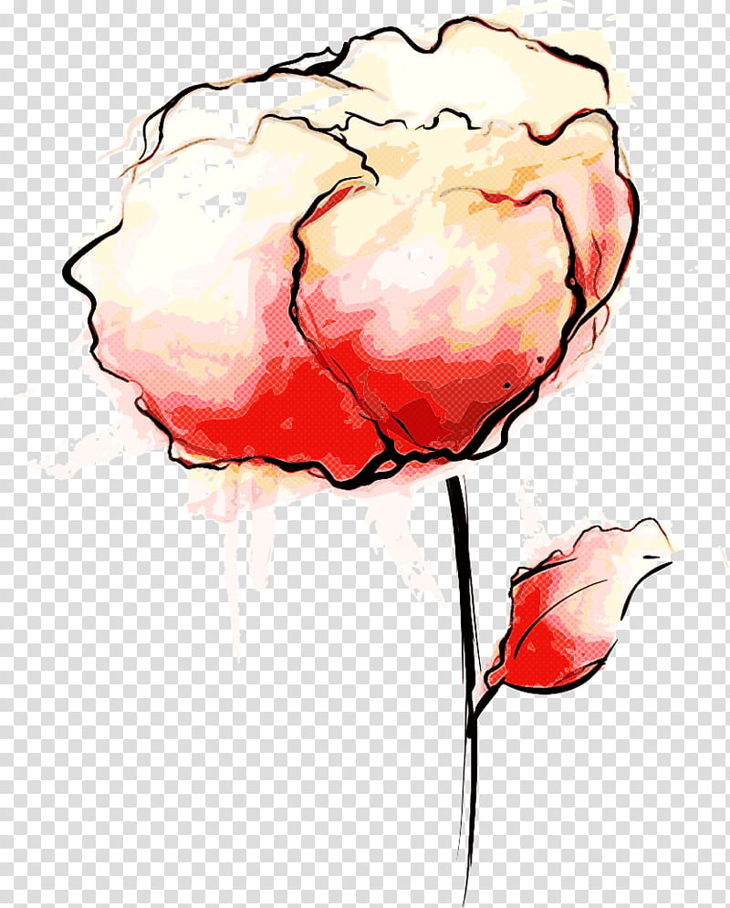 Garden roses, Drawing Flower, Watercolor Flower, Floral Drawing, Red, Pink, Plant, Petal transparent background PNG clipart