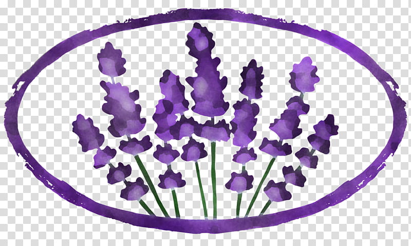 Lavender, Homeopathy, Naturopathy, Medicine, Traditional Medicine, Violet, Color, Purple transparent background PNG clipart