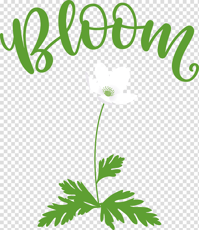 Bloom Spring Flower, Spring
, Leaf, Plant Stem, Green, Herbal Medicine, Location transparent background PNG clipart