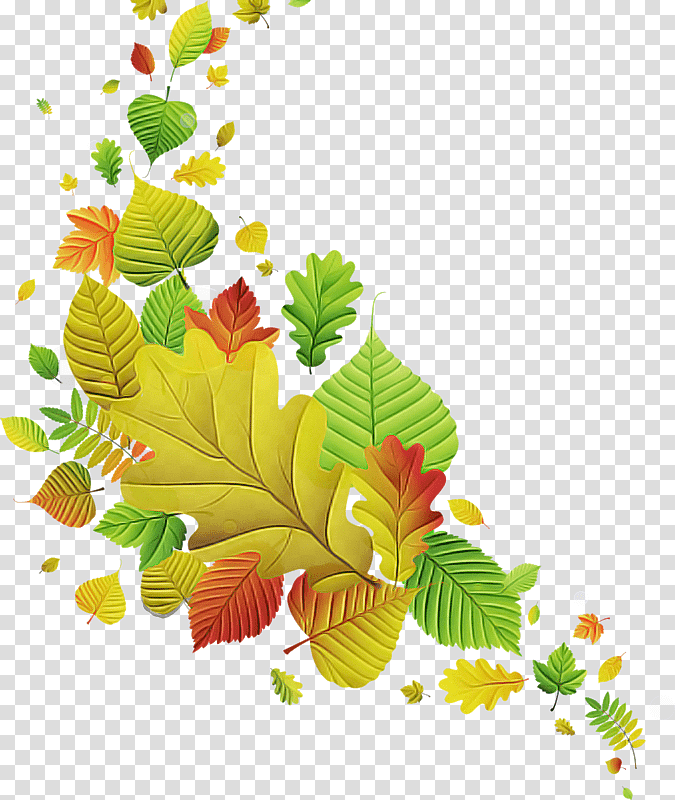 Floral design, Leaf, Tree, Flower, Branching, Plants, Science transparent background PNG clipart