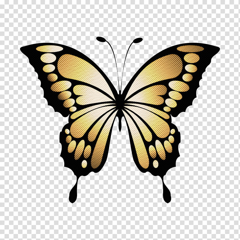 butterflies pale clouded yellow cartoon clouded yellow brush-footed butterflies, Brushfooted Butterflies, Pieridae, Colias Tyche, Clouded Yellows transparent background PNG clipart