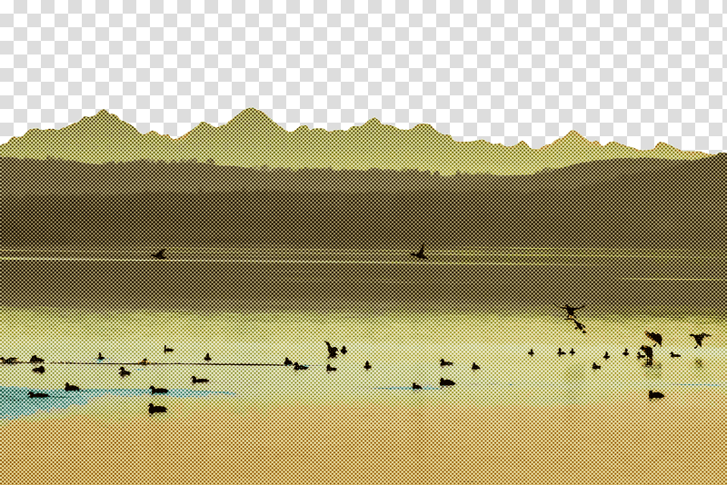 water resources ecoregion reservoir birds lough, Water Bird, Calm, Science, Biology transparent background PNG clipart
