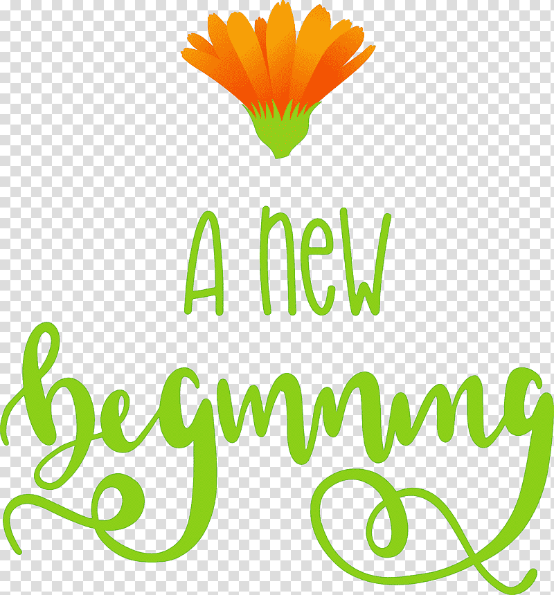 A New Beginning, Flower, Logo, Meter, Petal, Leaf, Yellow transparent background PNG clipart