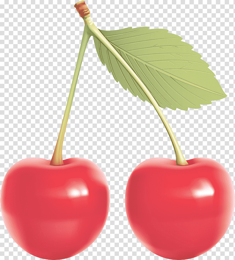 cherry pie cherry sour cherry sweet cherry fruit, Cherry Cobbler, Plum transparent background PNG clipart