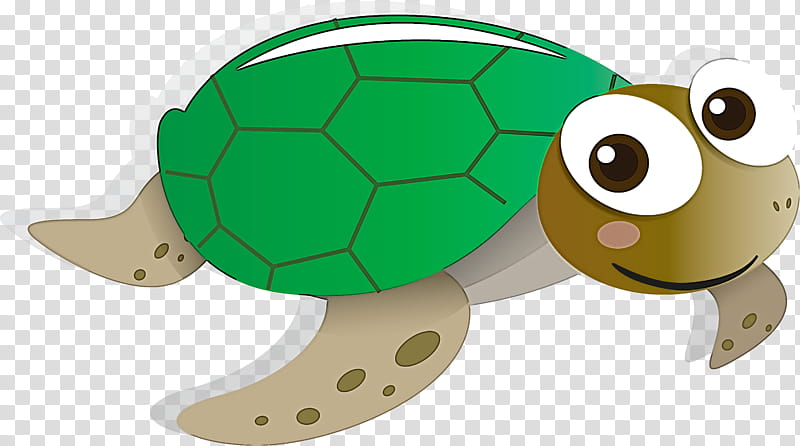 sea turtle tortoise turtle green green sea turtle, Cartoon, Reptile, Loggerhead Sea Turtle, Pond Turtle, Animal Figure transparent background PNG clipart