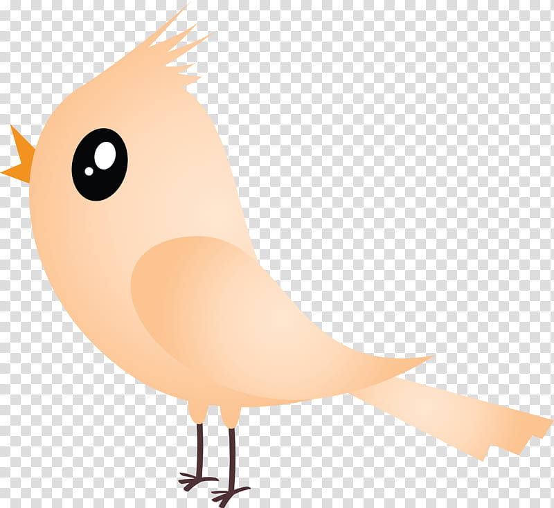 Orange, Cartoon Bird, Cute Bird, Beak, European Robin, Tail, Perching Bird, Songbird transparent background PNG clipart