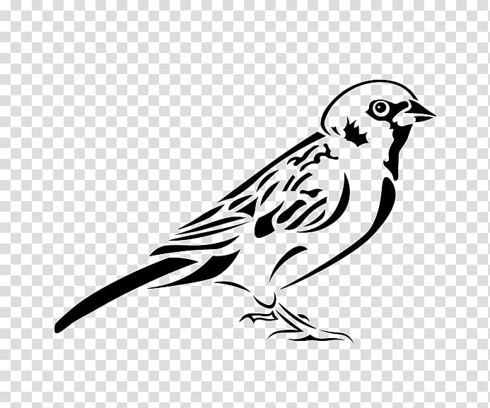 Feather, Bird, Beak, White, Wing, Leg, Line Art, Sparrow transparent background PNG clipart