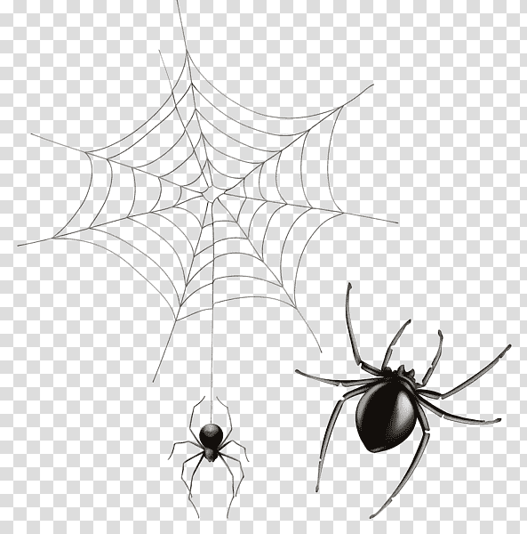 Spider web, Watercolor, Paint, Wet Ink, Insects, Black And White
, Widow Spiders transparent background PNG clipart