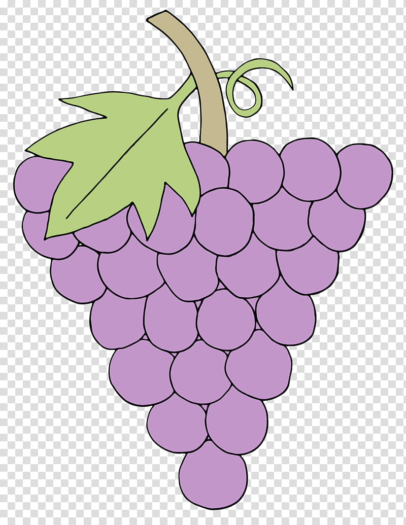 Flower Leaves, Grape, Purple, Seedless Fruit, Grapevine Family, Vitis, Leaf, Plant transparent background PNG clipart
