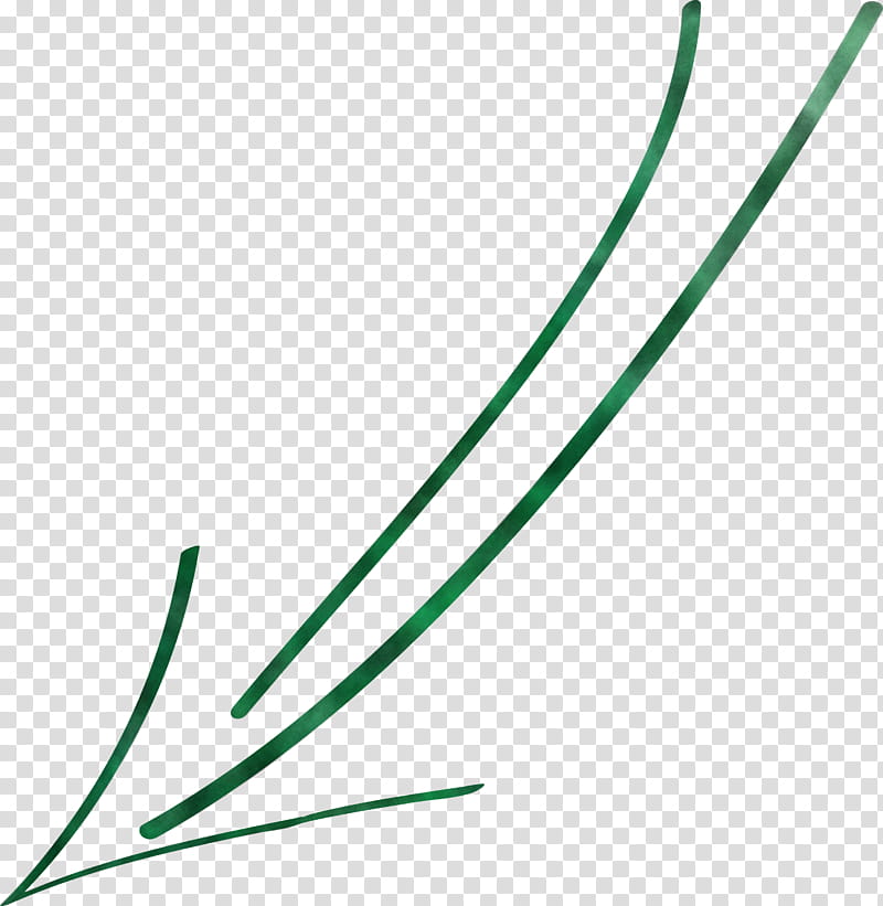 Hand Drawn Arrow, Green, Line, Plant transparent background PNG clipart