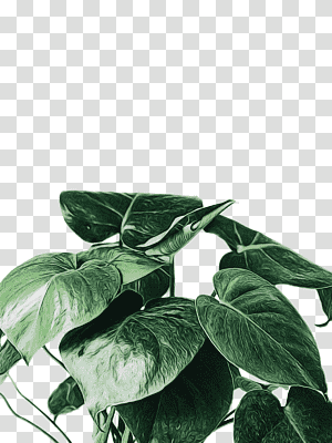 mood board mockup interior design services corporate identity, Watercolor, Paint, Wet Ink, New York, Leaf, Artboard Studio transparent background PNG clipart thumbnail