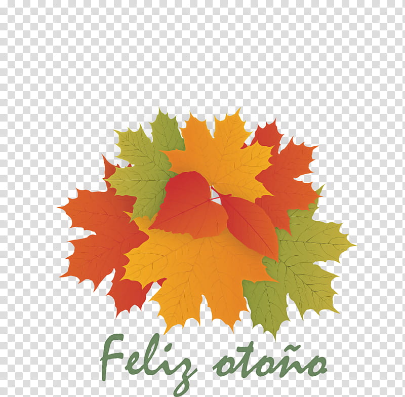 Hello Autumn Welcome Autumn Hello Fall, Welcome Fall, Leaf, Maple Leaf, Red Maple, Petal, Floral Design, Plants transparent background PNG clipart