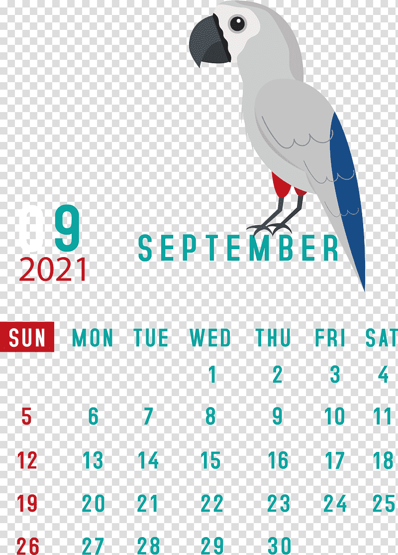 September 2021 Printable Calendar September 2021 Calendar, Logo, Birds, Beak, Meter, Line, Calendar System transparent background PNG clipart