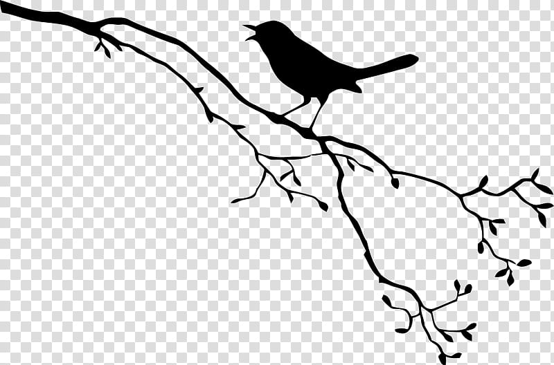 bird beak white branch black, Twig, Blackandwhite, Leaf, Wing, Line Art, Songbird, Perching Bird transparent background PNG clipart