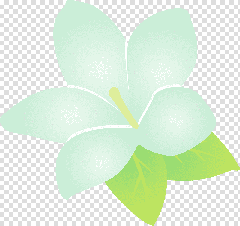 plant stem leaf flower petal green, Jasmine, Jasmine Flower, Watercolor, Paint, Wet Ink, Plants transparent background PNG clipart