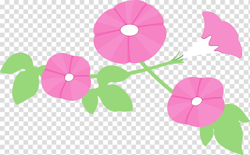 pink petal flower plant morning glory, Morning Glory Flower, Watercolor, Paint, Wet Ink, Magenta, Impatiens, Wheel transparent background PNG clipart