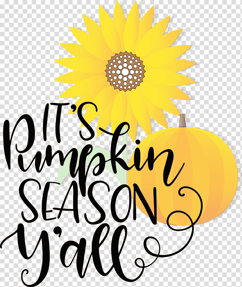 Floral design, Pumpkin Season, Thanksgiving, Autumn, Watercolor, Paint, Wet Ink transparent background PNG clipart