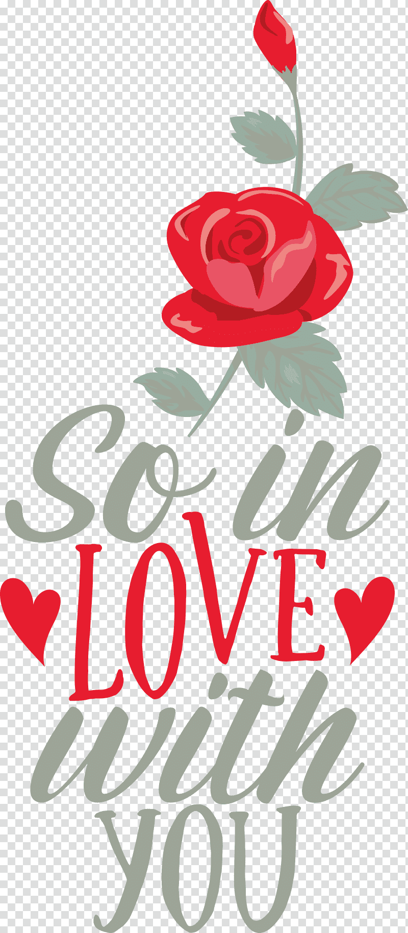 So In Love With You Valentines Day Valentine, Quote, Floral Design, Garden Roses, Cut Flowers, Logo, Rose Family transparent background PNG clipart