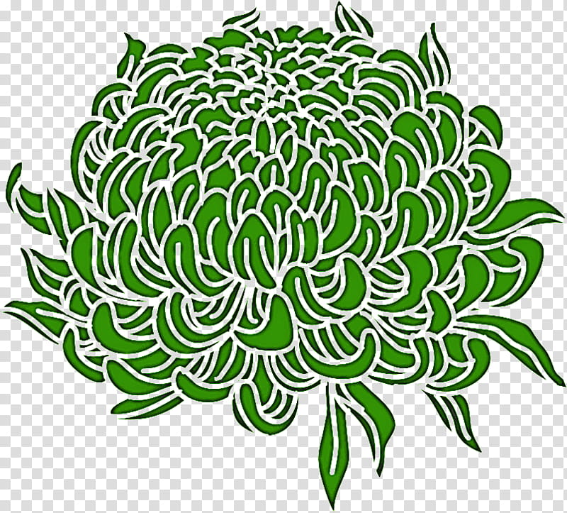 Chrysanthemum chrysanths, Floral Design, Plant Stem, Leaf, Symmetry, Mtree, Green, Line transparent background PNG clipart