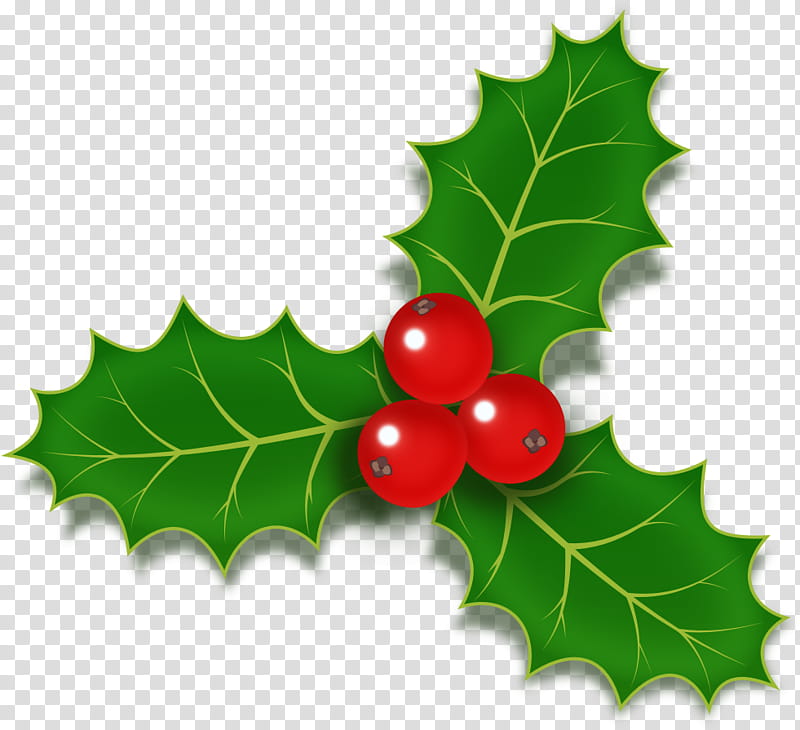 Christmas Tree Leaves, Christmas Designs, Common Holly, Christmas Day, Berries, Holiday, Leaf, American Holly transparent background PNG clipart