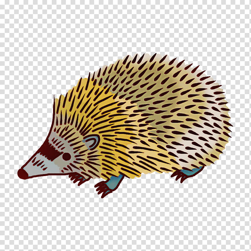 domesticated hedgehog hedgehog echidnas cartoon porcupine, Drawing, Line Art, Logo, Fan Art, Erinaceidae transparent background PNG clipart