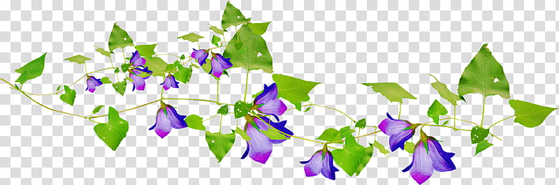 flower border flower, Flower Background, Purple, Violet, Plant, Lavender, Leaf, Petal transparent background PNG clipart