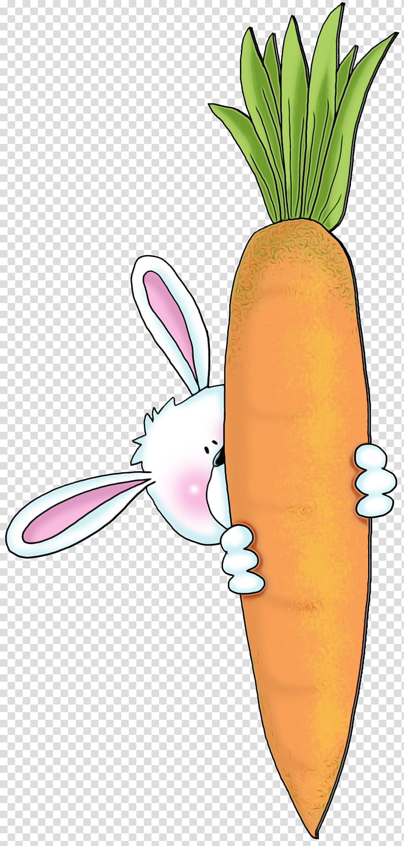 carrot radish root vegetable vegetable daikon, Watercolor, Paint, Wet Ink, Cartoon, Baby Carrot, Plant, Wild Carrot transparent background PNG clipart