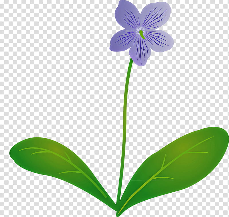 violet flower, Leaf, Plant Stem, Petal, Flora, Herbaceous Plant, Common Blue Violet, Seed Plants transparent background PNG clipart