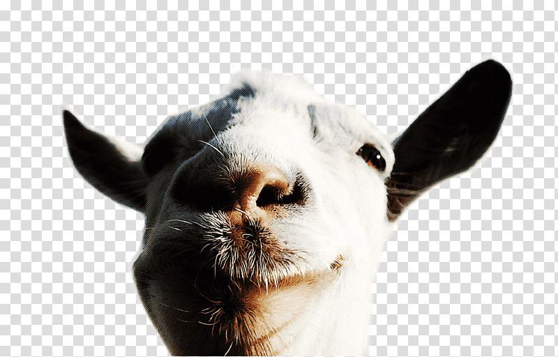 goat mmo simulator goat simulator: waste of space goatz goat, Goat Simulator Waste Of Space, Yandere Simulator, Simulation Video Game, Xbox One, Playstation 4, Bee Simulator transparent background PNG clipart