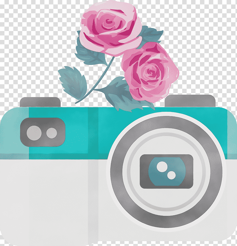 Rose, Camera, Flower, Watercolor, Paint, Wet Ink, Rose Family transparent background PNG clipart